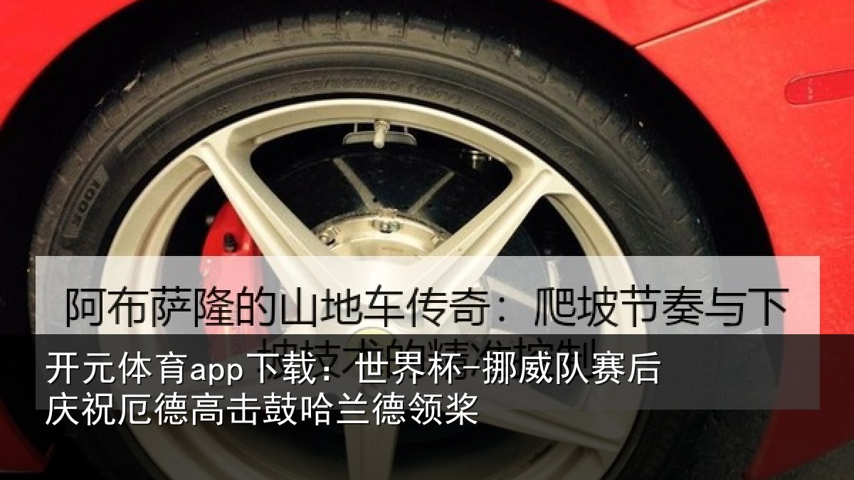 开元体育app下载：世界杯-挪威队赛后庆祝相关情况领桨